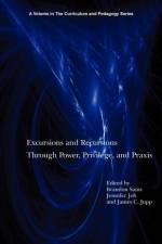 Excursions and Recursions Through Power, Privilege, and Practice