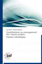 Contributions Au Management Des Risques Projets af Collectif