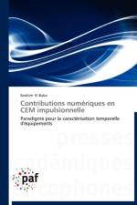 Contributions Numeriques En Cem Impulsionnelle af El Baba-I