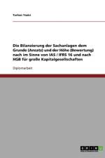 Bilanzierung Der Sachanlagen Nach Grund (Ansatz) Und Hohe (Bewertung). Nach IAS / Ifrs 16 Und Hgb Fur Grosse Kapitalgesellschaften af Turhan Yazici