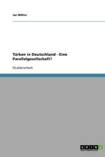Turken in Deutschland. Eine Parallelgesellschaft? af Jan Möller