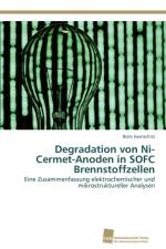 Degradation von Ni-Cermet-Anoden in SOFC Brennstoffzellen af Boris Iwanschitz
