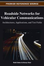 Roadside Networks for Vehicular Communications