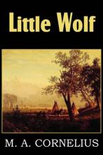 Little Wolf, a Tale of the Western Frontier af Mary Ann Mann Cornelius