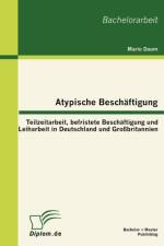 Atypische Beschaftigung af Mario Daum