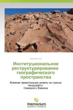 Institutsional'noe Restrukturirovanie Geograficheskogo Prostranstva af Gunya Aleksey