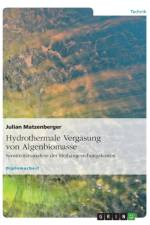 Hydrothermale Vergasung von Algenbiomasse af Julian Matzenberger