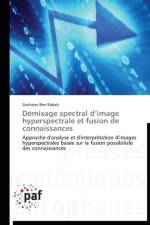 Demixage Spectral D Image Hyperspectrale Et Fusion de Connaissances af Rabah-Z