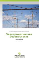 Elektromagnitnaya Bezopasnost' af Apollonskiy Stanislav Mikhaylovich