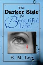 Darker Side of a Beautiful Life af E M Lee