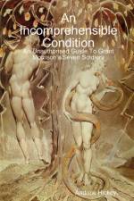 Incomprehensible Condition: An Unauthorised Guide To Grant Morrison's Seven Soldiers af Andrew Hickey