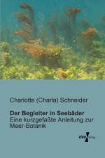 Begleiter in Seebader af Charlotte (Charla) Schneider