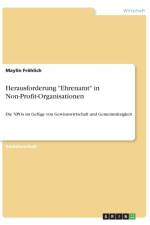 Herausforderung Ehrenamt in Non-Profit-Organisationen af Maylin Froehlich