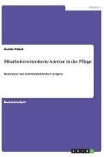 Mitarbeiterorientierte Anreize in der Pflege af Guido Pabst