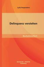 Delinquenz verstehen af Lydia Respondeck