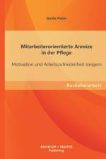 Mitarbeiterorientierte Anreize in der Pflege af Guido Pabst