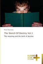 Sketch Of Destiny Vol.1 af Prince Testimony