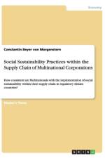Social Sustainability Practices Within the Supply Chain of Multinational Corporations af Constantin Beyer von Morgenstern