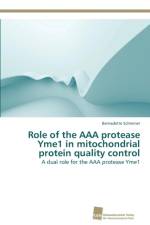 Role of the AAA protease Yme1 in mitochondrial protein quality control af Bernadette Schreiner