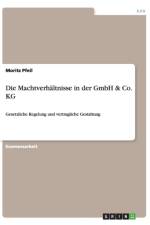 Die Machtverhaltnisse in der GmbH & Co. KG af Moritz Pfeil