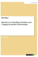 Big Data im Controlling. Techniken zum Umgang mit grossen Datenmengen af Mark Mayer