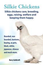 Silkie Chickens Care, Breeding, Eggs, Raising, Welfare and Keeping Them Happy af Harry Goldcroft