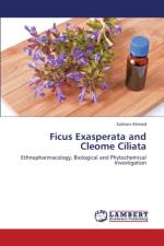Ficus Exasperata and Cleome Ciliata af Ahmed Salman