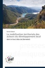 La Mobilisation Territoriale Des Acteurs Du Developpement Local af Gebrati-F