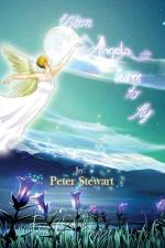 When Angels Learn to Fly af Peter (South East Today BBC Regional Broadcasting Centre Surrey UK) Stewart