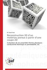 Reconstruction 3D D Un Materiau Poreux A Partir D Une Coupe 2D af Arab-M