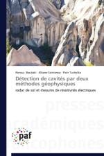 Detection de Cavites Par Deux Methodes Geophysiques af Collectif
