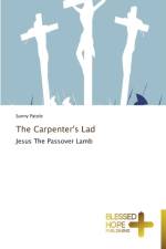 Carpenter's Lad af Sunny Patole