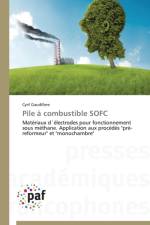 Pile A Combustible Sofc af Gaudillere-C