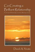 Co-Creating a Brilliant Relationship af David a Yeats