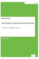 Elektrizitatserzeugung durch Windenergie af Simone Thiele