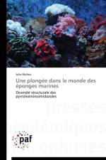 Une Plongee Dans Le Monde Des Eponges Marines af Munoz-J