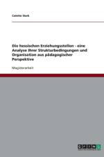 Hessischen Erziehungsstellen. Strukturbedingungen Und Organisation Aus P dagogischer Perspektive af Colette Sierk