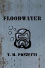 Floodwater af T M Ponzetti