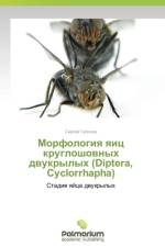 Morfologiya Yaits Krugloshovnykh Dvukrylykh (Diptera, Cyclorrhapha) af Gaponov Sergey