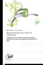 Bioconversion Du Co2 En Methanol af Collectif