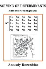 Solving of Determinants with Functional Graphs af Anatoly Rozenblat