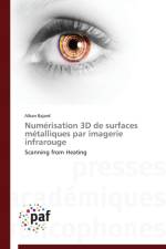 Numerisation 3D de Surfaces Metalliques Par Imagerie Infrarouge af Bajard-A