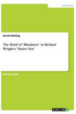The Motif of Blindness in Richard Wright's 'Native Son' af David Stehling