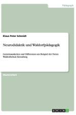 Neurodidaktik und Waldorfpadagogik af Klaus Peter Schmidt