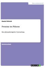 Proteine im Phloem af Daniel Dittrich