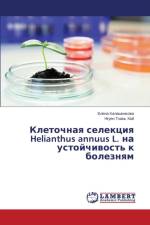 Клеточная селекция Helianthus annuus L. на устойчивость к k af Х