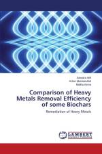 Comparison of Heavy Metals Removal Efficiency of some Biochars af Adil Sawaira