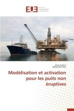 Mod lisation Et Activation Pour Les Puits Non ruptives af Collectif