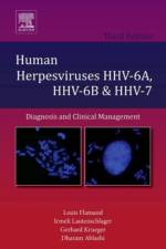 Human Herpesviruses HHV-6A, HHV-6B and HHV-7