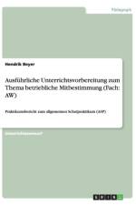 Ausfuhrliche Unterrichtsvorbereitung zum Thema betriebliche Mitbestimmung (Fach af Hendrik Beyer